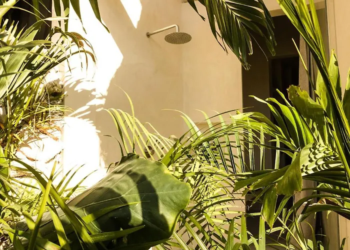 Muare Wellness And (adults Only) Tulum Pueblo