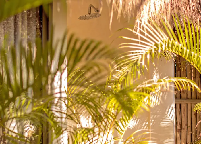 Muare Wellness And (adults Only) Tulum Pueblo