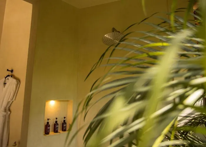 Muare Wellness And (adults Only)